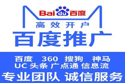 成功案例：专业SEM托管服务助力企业抢占行业制高点